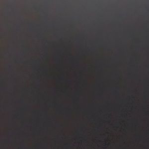 Meet your Posher, Laya